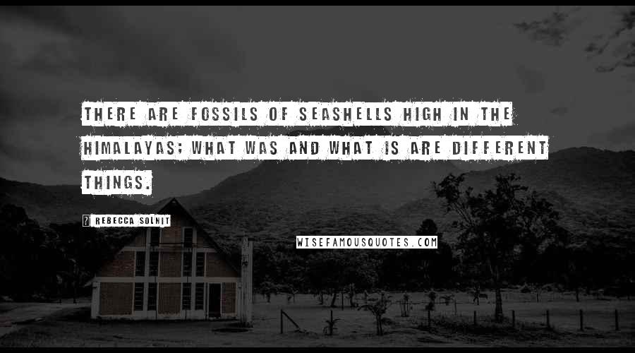 Rebecca Solnit Quotes: There are fossils of seashells high in the Himalayas; what was and what is are different things.