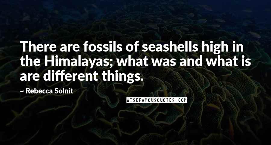 Rebecca Solnit Quotes: There are fossils of seashells high in the Himalayas; what was and what is are different things.