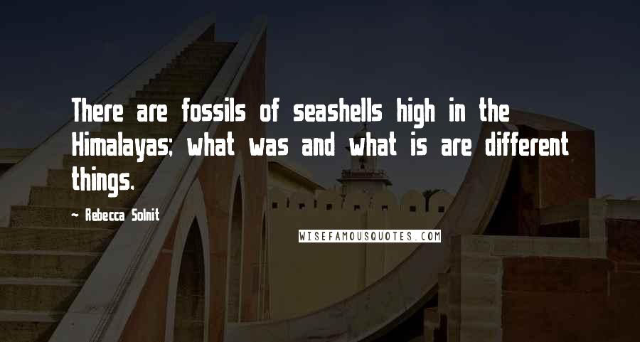 Rebecca Solnit Quotes: There are fossils of seashells high in the Himalayas; what was and what is are different things.