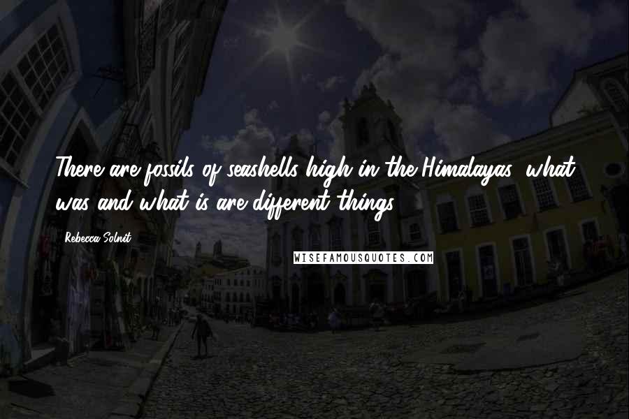 Rebecca Solnit Quotes: There are fossils of seashells high in the Himalayas; what was and what is are different things.