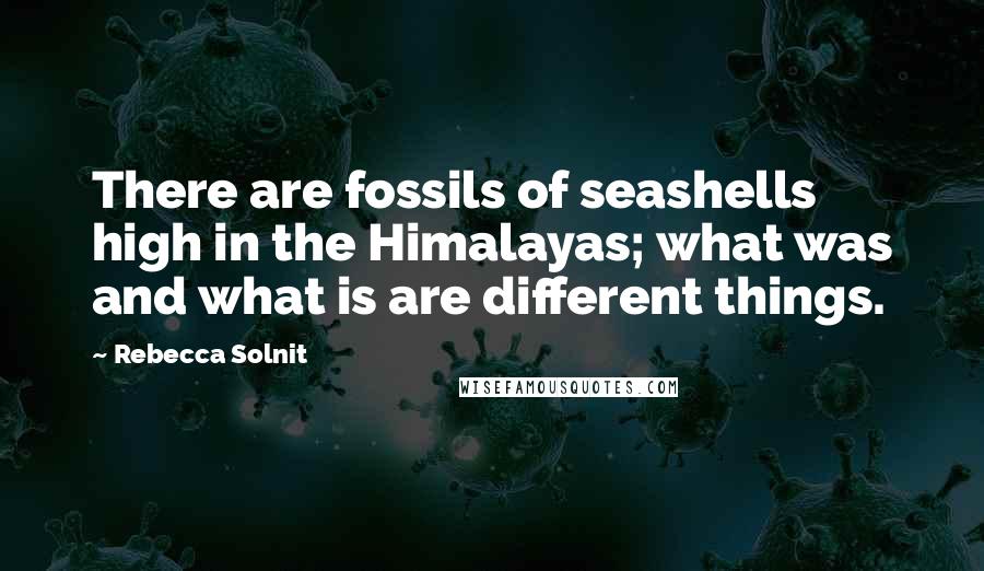Rebecca Solnit Quotes: There are fossils of seashells high in the Himalayas; what was and what is are different things.