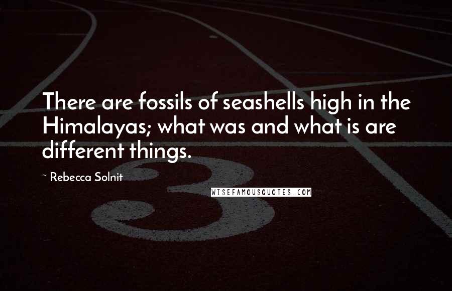 Rebecca Solnit Quotes: There are fossils of seashells high in the Himalayas; what was and what is are different things.