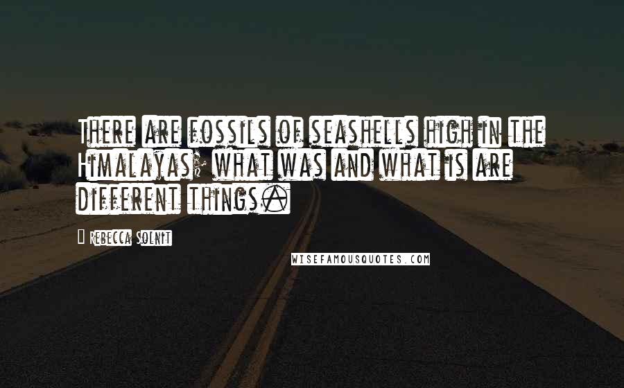 Rebecca Solnit Quotes: There are fossils of seashells high in the Himalayas; what was and what is are different things.