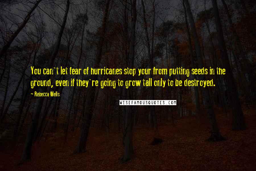Rebecca Wells Quotes: You can't let fear of hurricanes stop your from putting seeds in the ground, even if they're going to grow tall only to be destroyed.