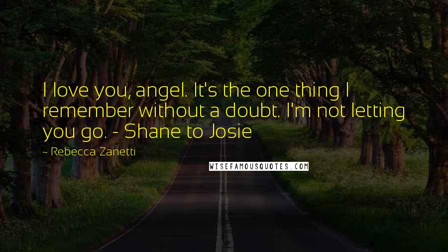 Rebecca Zanetti Quotes: I love you, angel. It's the one thing I remember without a doubt. I'm not letting you go. - Shane to Josie