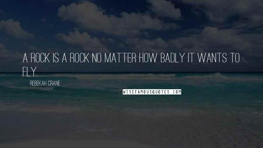 Rebekah Crane Quotes: A rock is a rock no matter how badly it wants to fly.