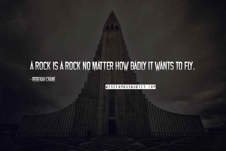 Rebekah Crane Quotes: A rock is a rock no matter how badly it wants to fly.