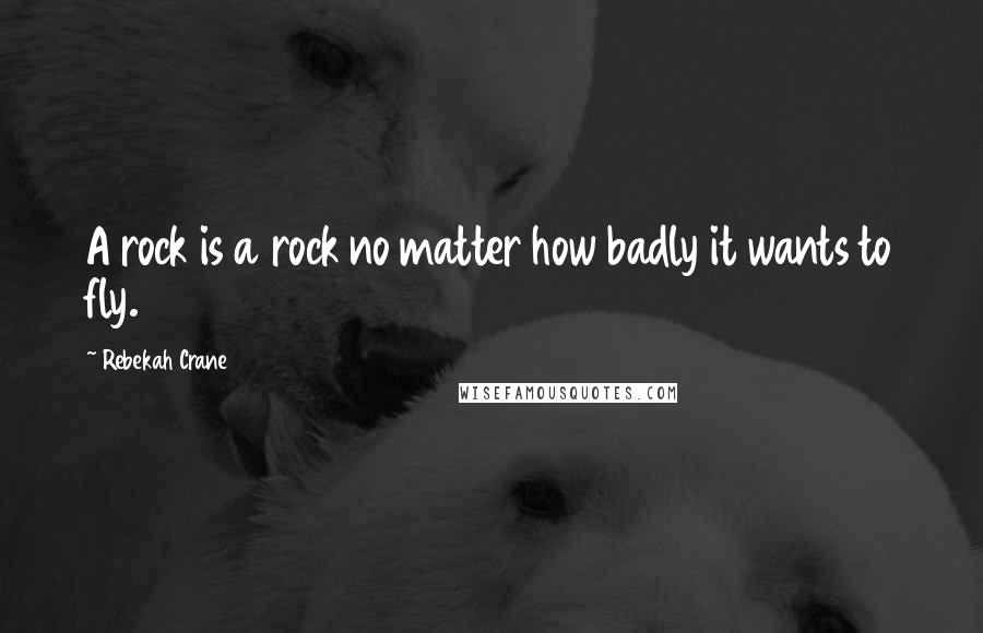 Rebekah Crane Quotes: A rock is a rock no matter how badly it wants to fly.