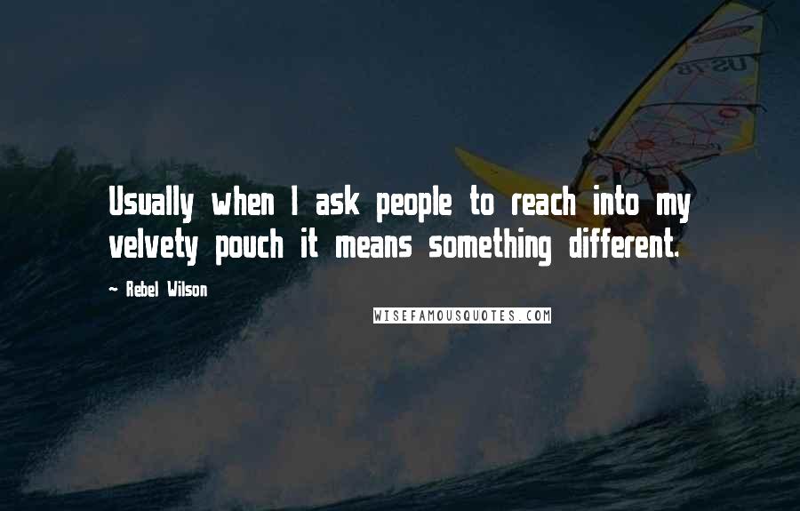 Rebel Wilson Quotes: Usually when I ask people to reach into my velvety pouch it means something different.