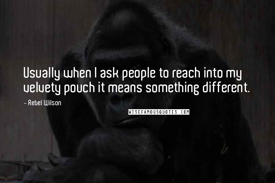 Rebel Wilson Quotes: Usually when I ask people to reach into my velvety pouch it means something different.