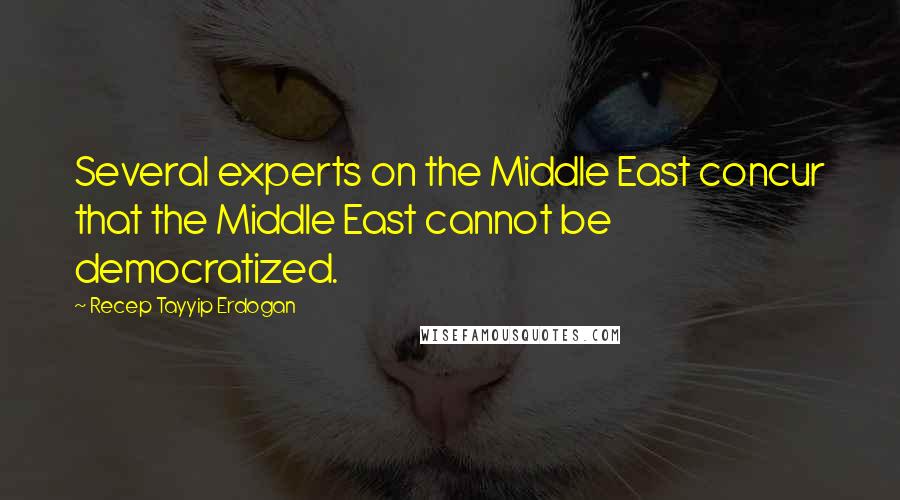 Recep Tayyip Erdogan Quotes: Several experts on the Middle East concur that the Middle East cannot be democratized.