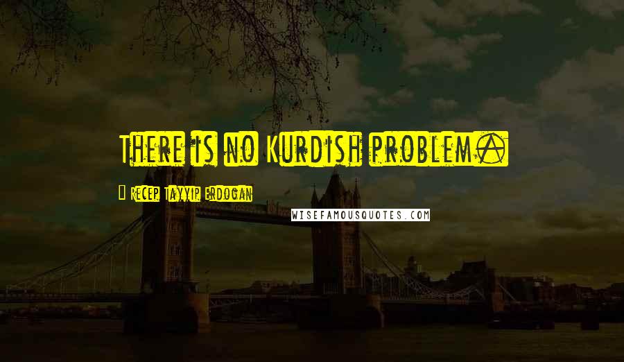 Recep Tayyip Erdogan Quotes: There is no Kurdish problem.