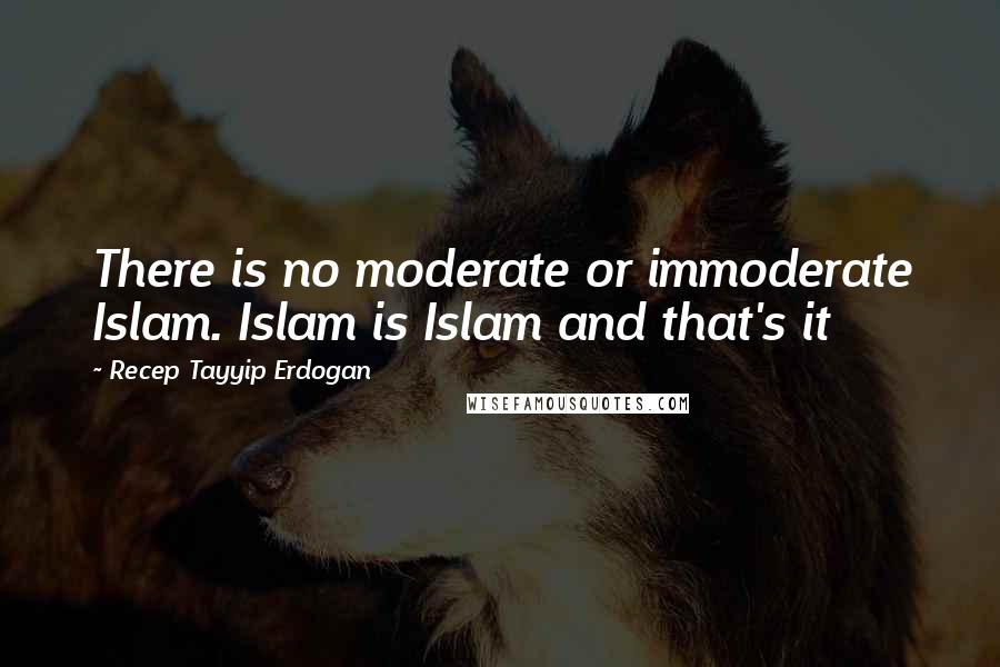 Recep Tayyip Erdogan Quotes: There is no moderate or immoderate Islam. Islam is Islam and that's it