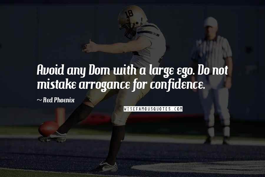 Red Phoenix Quotes: Avoid any Dom with a large ego. Do not mistake arrogance for confidence.