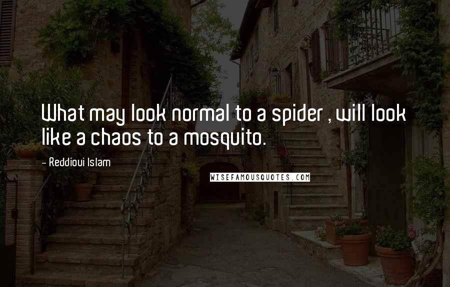 Reddioui Islam Quotes: What may look normal to a spider , will look like a chaos to a mosquito.