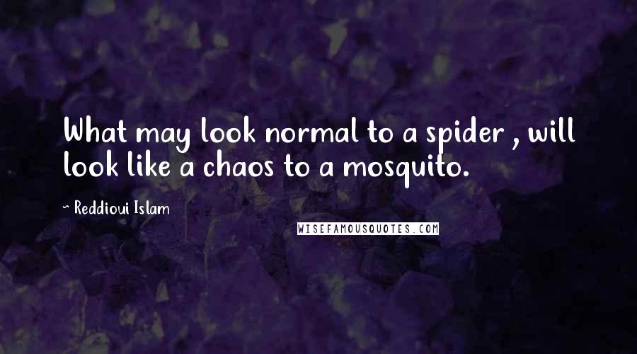 Reddioui Islam Quotes: What may look normal to a spider , will look like a chaos to a mosquito.