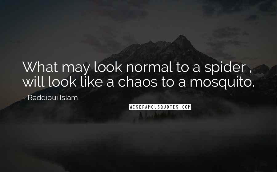 Reddioui Islam Quotes: What may look normal to a spider , will look like a chaos to a mosquito.