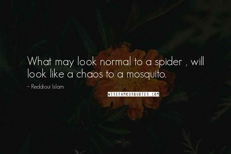 Reddioui Islam Quotes: What may look normal to a spider , will look like a chaos to a mosquito.