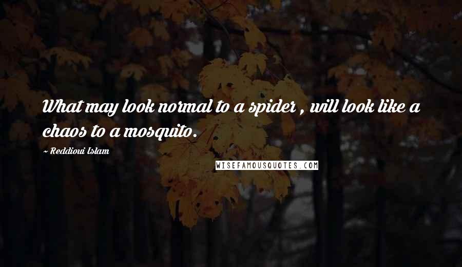 Reddioui Islam Quotes: What may look normal to a spider , will look like a chaos to a mosquito.