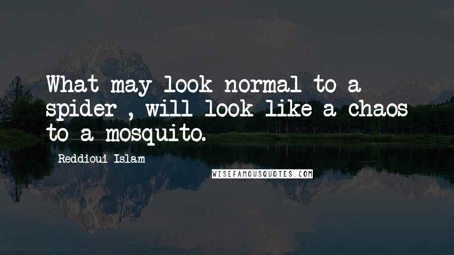 Reddioui Islam Quotes: What may look normal to a spider , will look like a chaos to a mosquito.