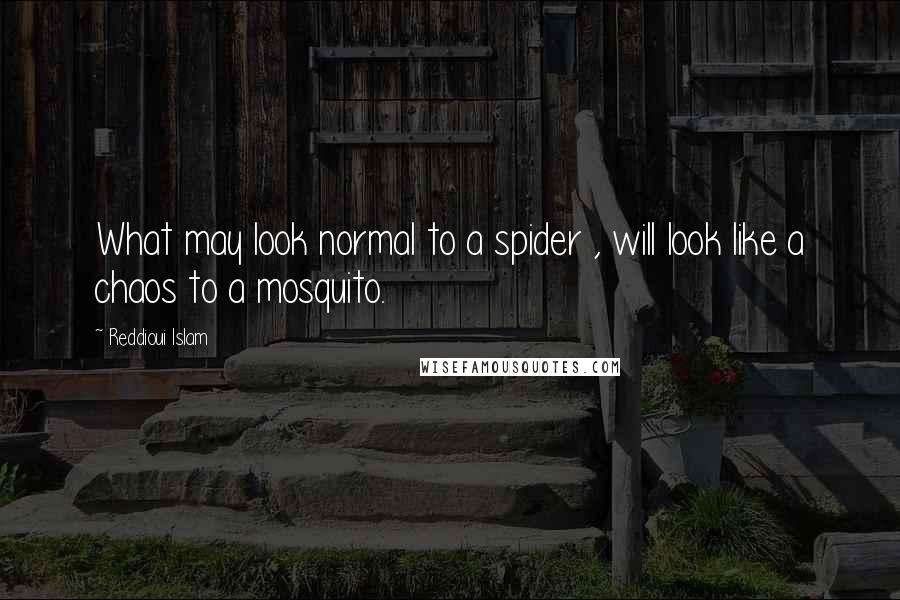 Reddioui Islam Quotes: What may look normal to a spider , will look like a chaos to a mosquito.