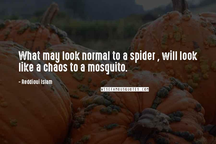 Reddioui Islam Quotes: What may look normal to a spider , will look like a chaos to a mosquito.