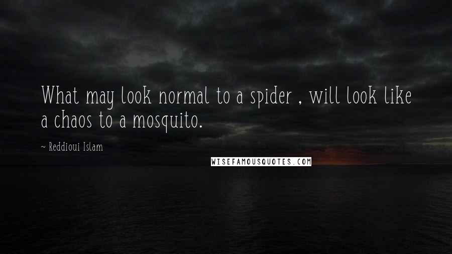 Reddioui Islam Quotes: What may look normal to a spider , will look like a chaos to a mosquito.