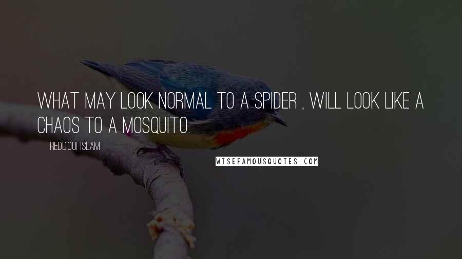 Reddioui Islam Quotes: What may look normal to a spider , will look like a chaos to a mosquito.