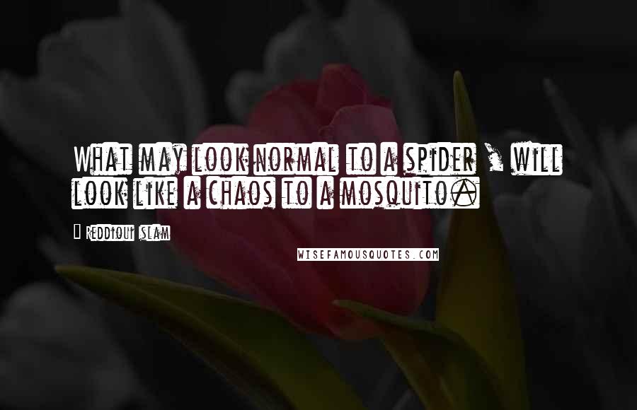 Reddioui Islam Quotes: What may look normal to a spider , will look like a chaos to a mosquito.
