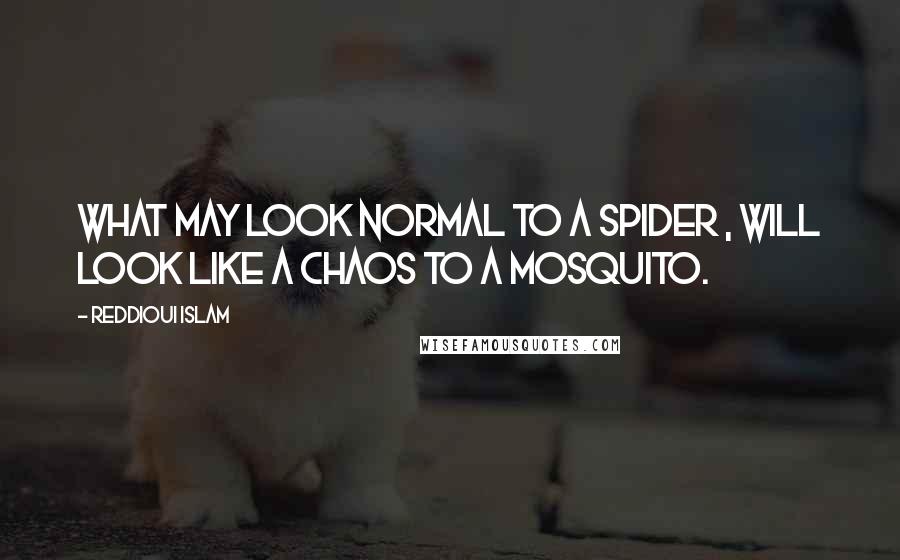 Reddioui Islam Quotes: What may look normal to a spider , will look like a chaos to a mosquito.