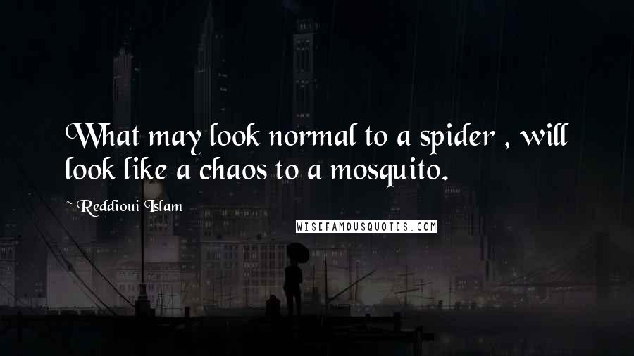 Reddioui Islam Quotes: What may look normal to a spider , will look like a chaos to a mosquito.