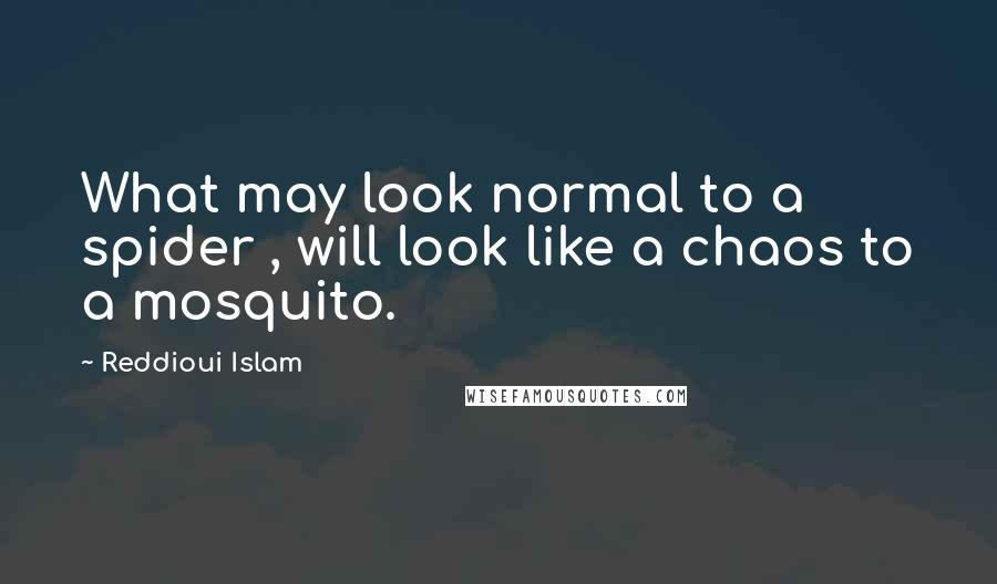 Reddioui Islam Quotes: What may look normal to a spider , will look like a chaos to a mosquito.