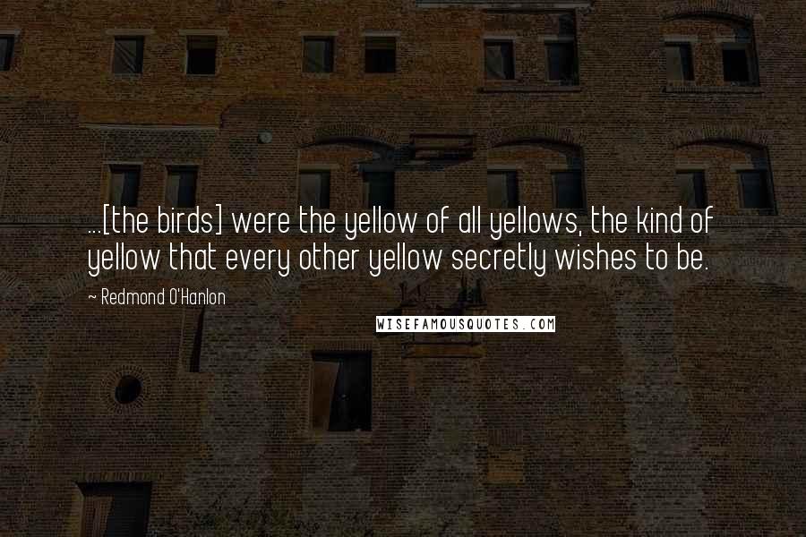 Redmond O'Hanlon Quotes: ...[the birds] were the yellow of all yellows, the kind of yellow that every other yellow secretly wishes to be.