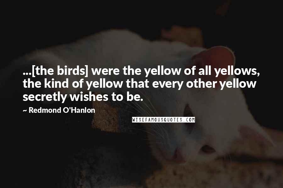 Redmond O'Hanlon Quotes: ...[the birds] were the yellow of all yellows, the kind of yellow that every other yellow secretly wishes to be.