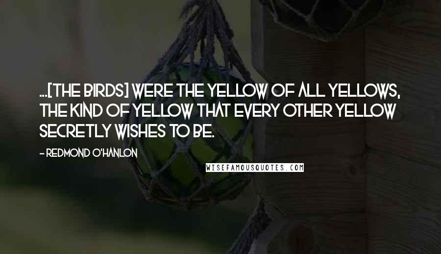 Redmond O'Hanlon Quotes: ...[the birds] were the yellow of all yellows, the kind of yellow that every other yellow secretly wishes to be.