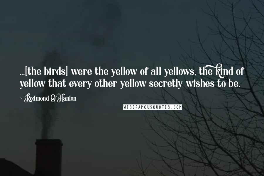 Redmond O'Hanlon Quotes: ...[the birds] were the yellow of all yellows, the kind of yellow that every other yellow secretly wishes to be.