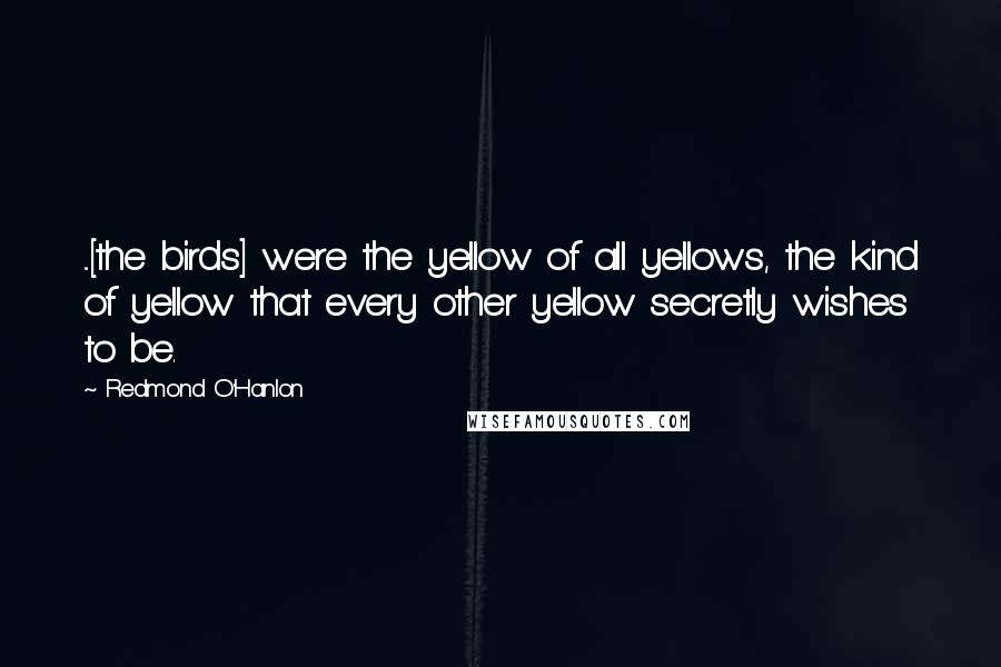 Redmond O'Hanlon Quotes: ...[the birds] were the yellow of all yellows, the kind of yellow that every other yellow secretly wishes to be.