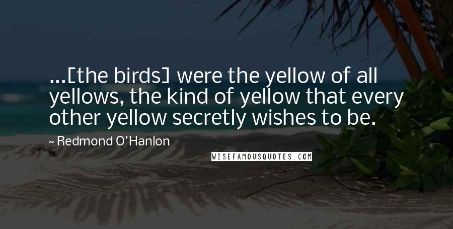 Redmond O'Hanlon Quotes: ...[the birds] were the yellow of all yellows, the kind of yellow that every other yellow secretly wishes to be.