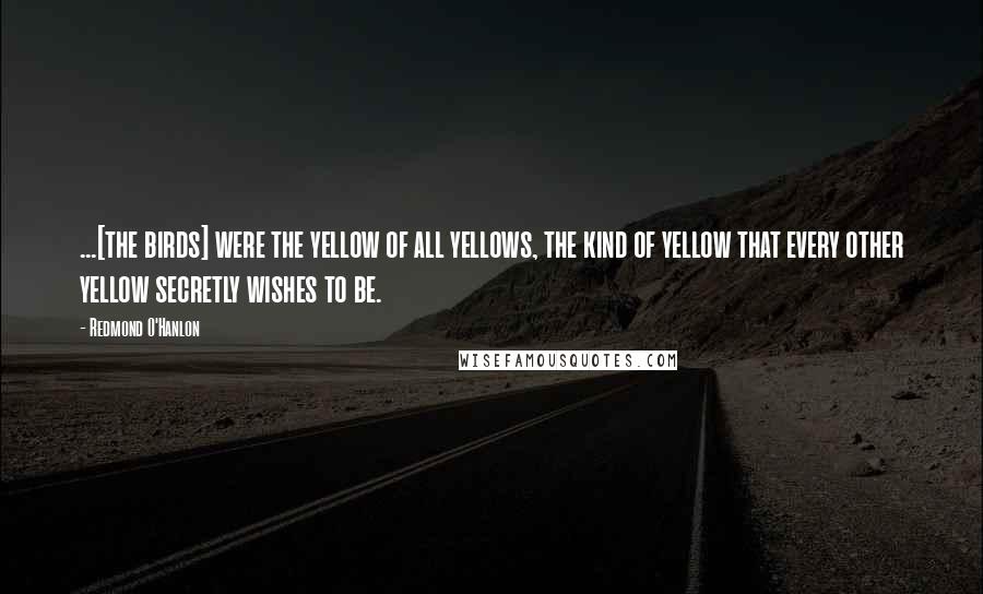 Redmond O'Hanlon Quotes: ...[the birds] were the yellow of all yellows, the kind of yellow that every other yellow secretly wishes to be.