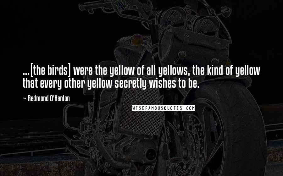 Redmond O'Hanlon Quotes: ...[the birds] were the yellow of all yellows, the kind of yellow that every other yellow secretly wishes to be.