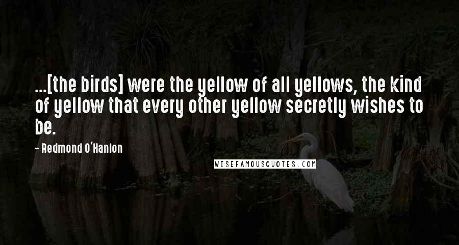 Redmond O'Hanlon Quotes: ...[the birds] were the yellow of all yellows, the kind of yellow that every other yellow secretly wishes to be.