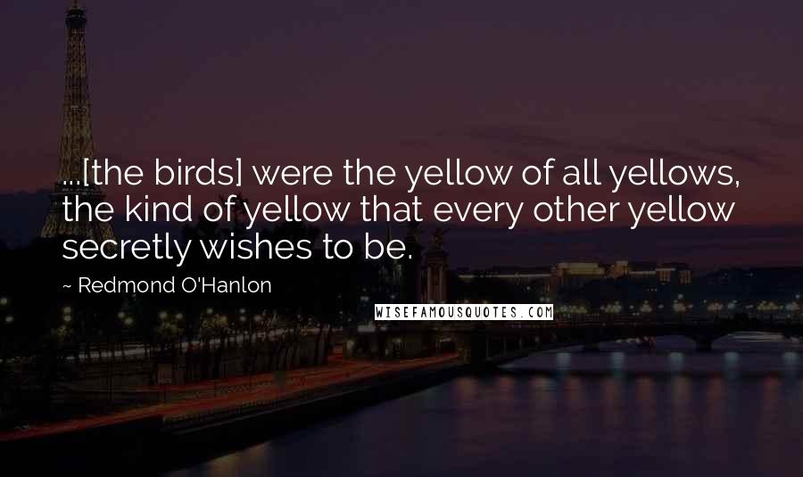 Redmond O'Hanlon Quotes: ...[the birds] were the yellow of all yellows, the kind of yellow that every other yellow secretly wishes to be.