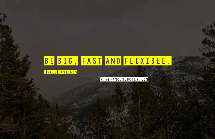 Reed Hastings Quotes: Be big, fast and flexible.