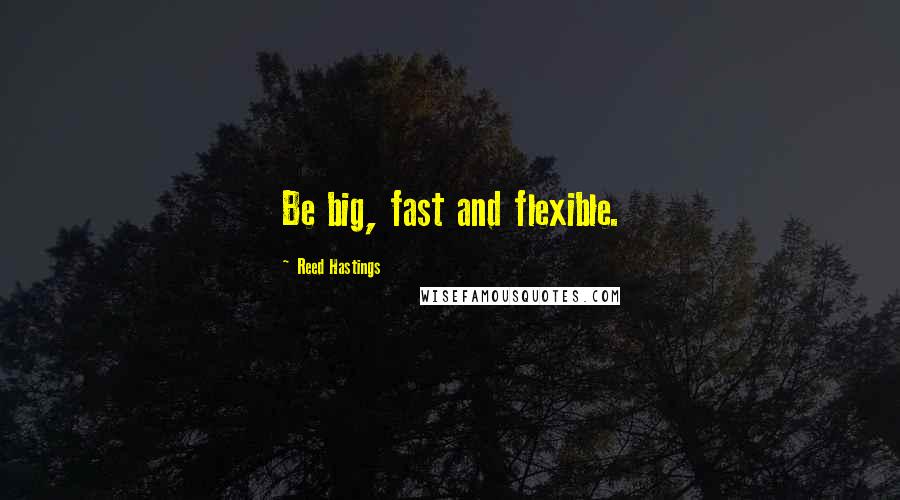 Reed Hastings Quotes: Be big, fast and flexible.