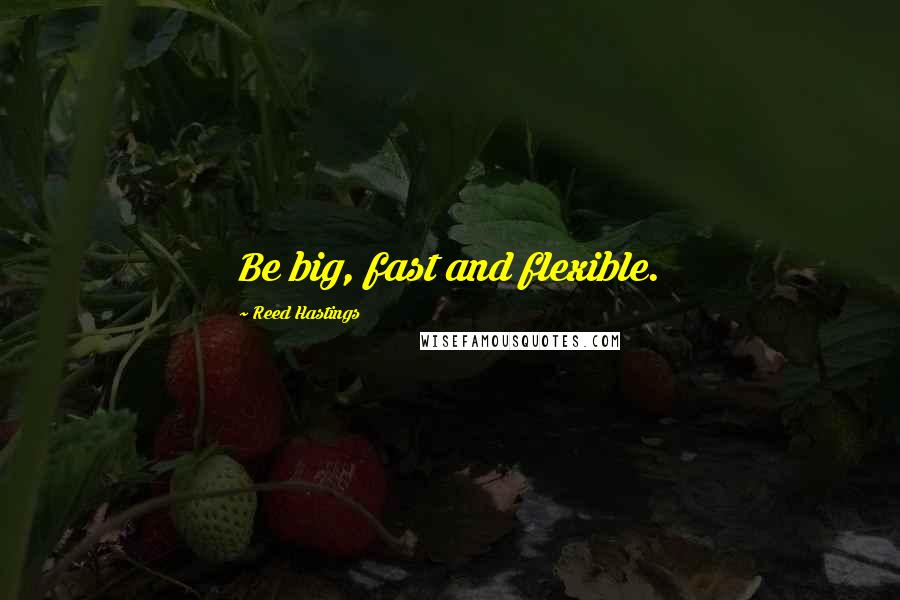 Reed Hastings Quotes: Be big, fast and flexible.