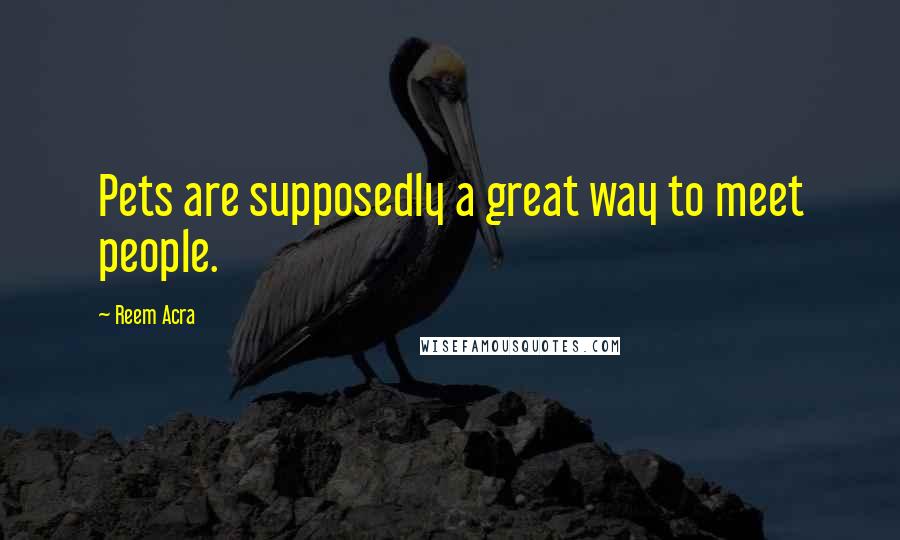 Reem Acra Quotes: Pets are supposedly a great way to meet people.