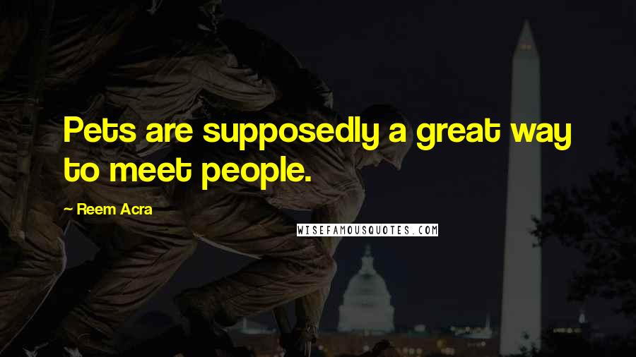 Reem Acra Quotes: Pets are supposedly a great way to meet people.