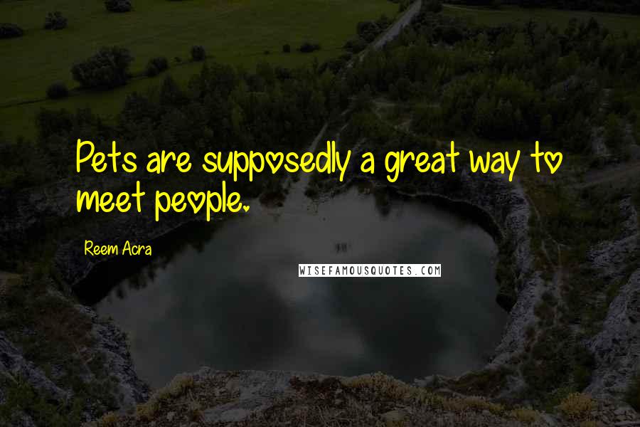 Reem Acra Quotes: Pets are supposedly a great way to meet people.