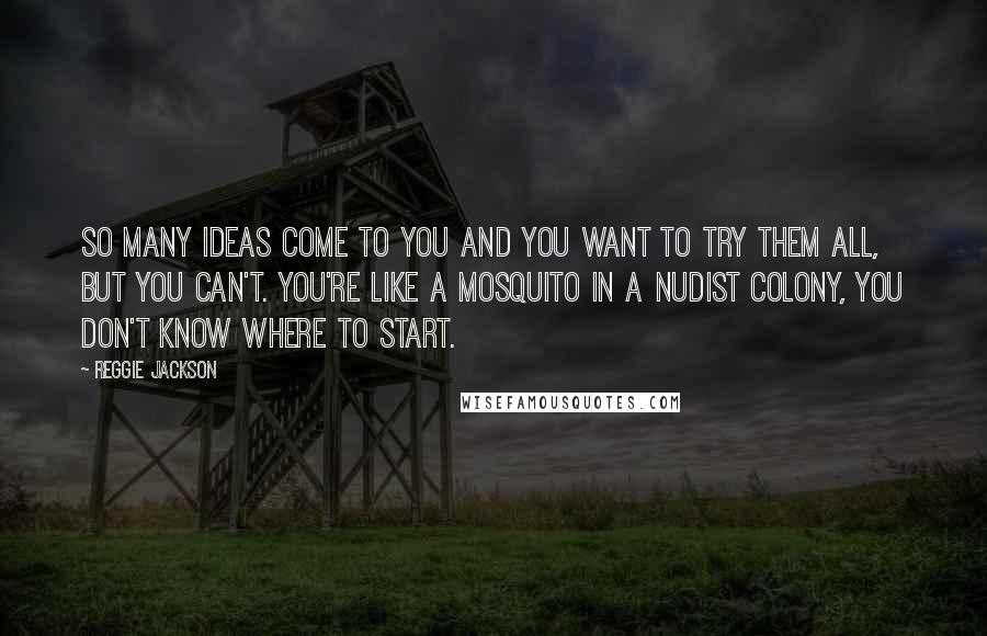 Reggie Jackson Quotes: So many ideas come to you and you want to try them all, but you can't. You're like a mosquito in a nudist colony, you don't know where to start.
