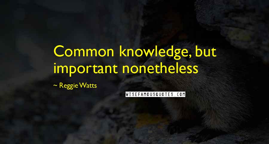 Reggie Watts Quotes: Common knowledge, but important nonetheless